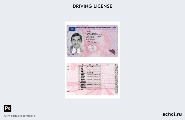 цифровая загрузка шаблона версии DL для Бельгии